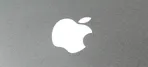 Fidelity Bull logo